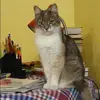 Отзыв от Елизавета Вишневская